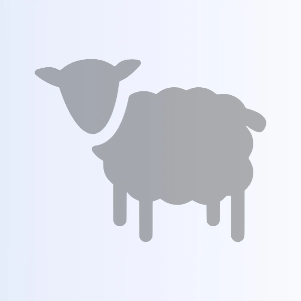 Immanuel Sheep