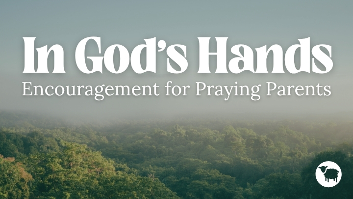 In His Hands Plan Graphic